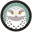 Snowy Owl