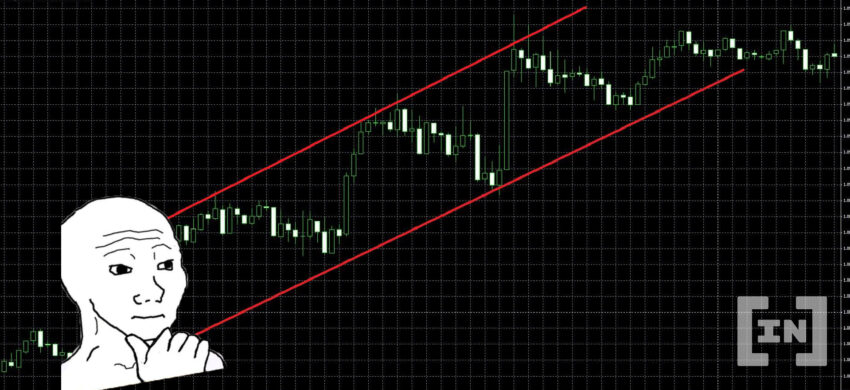 Investing Bias – นักตามเทรน