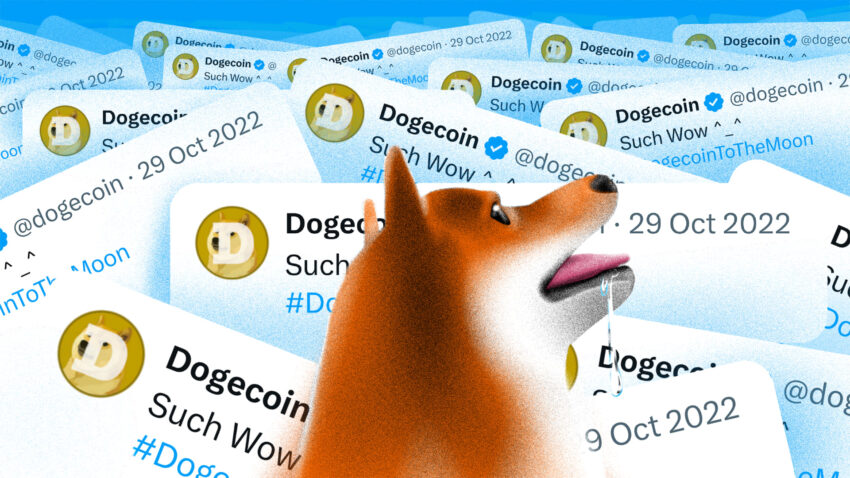 End of an Era Kabosu แรงบันดาลใจของ Doge Meme เสียชีวิตแล้ว