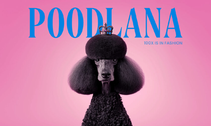 การถล่มของไวรัลขณะ Poodlana กำลังเตรียมตัวสำหรับการขึ้นรายการในอีก 4 วัน