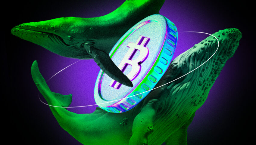 Bitcoin Whales HODL เนื่องจากสัญญาณใหม่บ่งชี้ว่าวัฏจักรกระทิงยังไม่จบลง