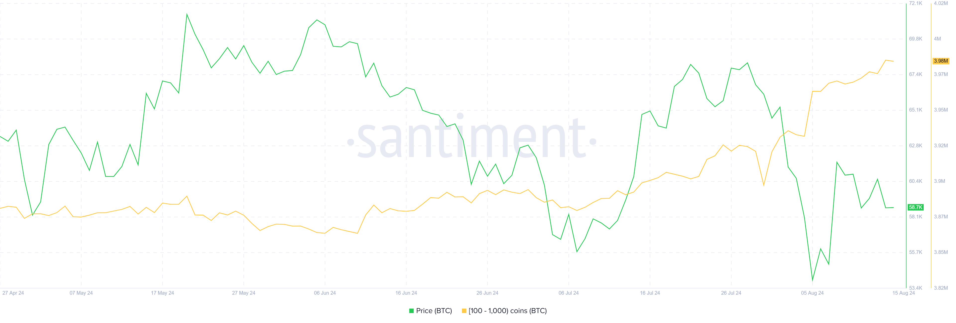 Bitcoin Whale Holdings.