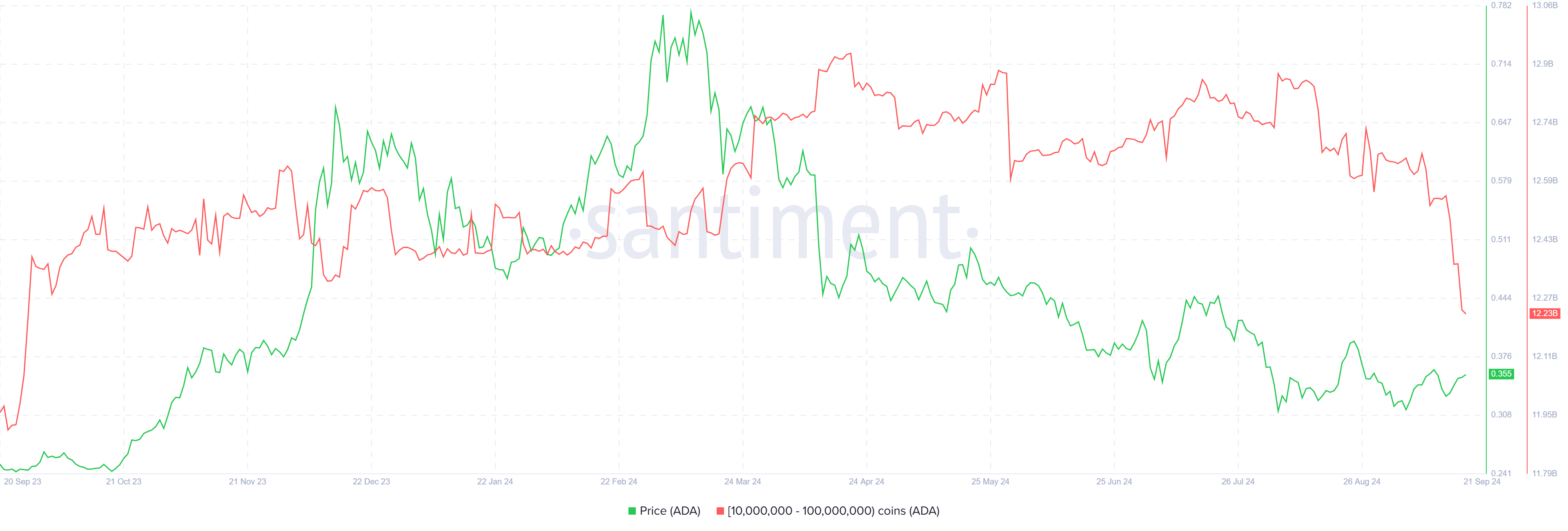 Cardano Whale Holding.