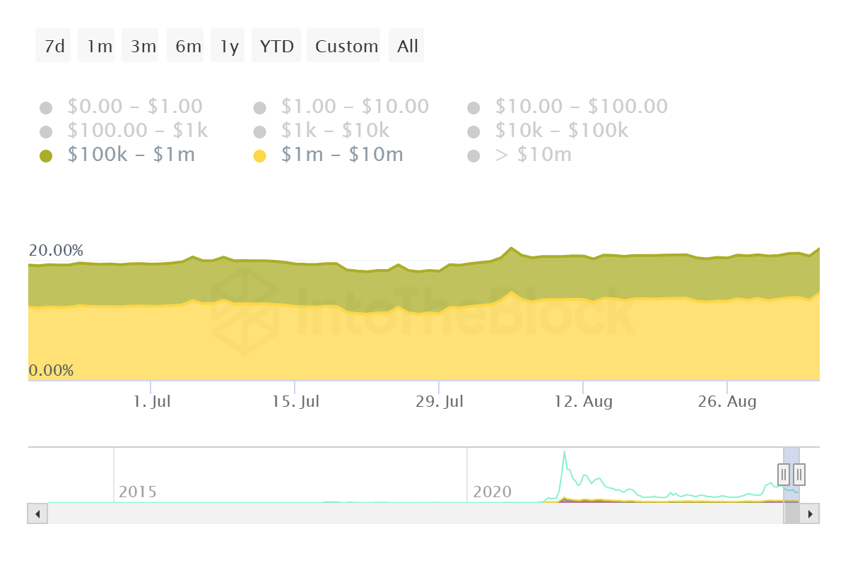 Dogecoin Whale Holdings.
