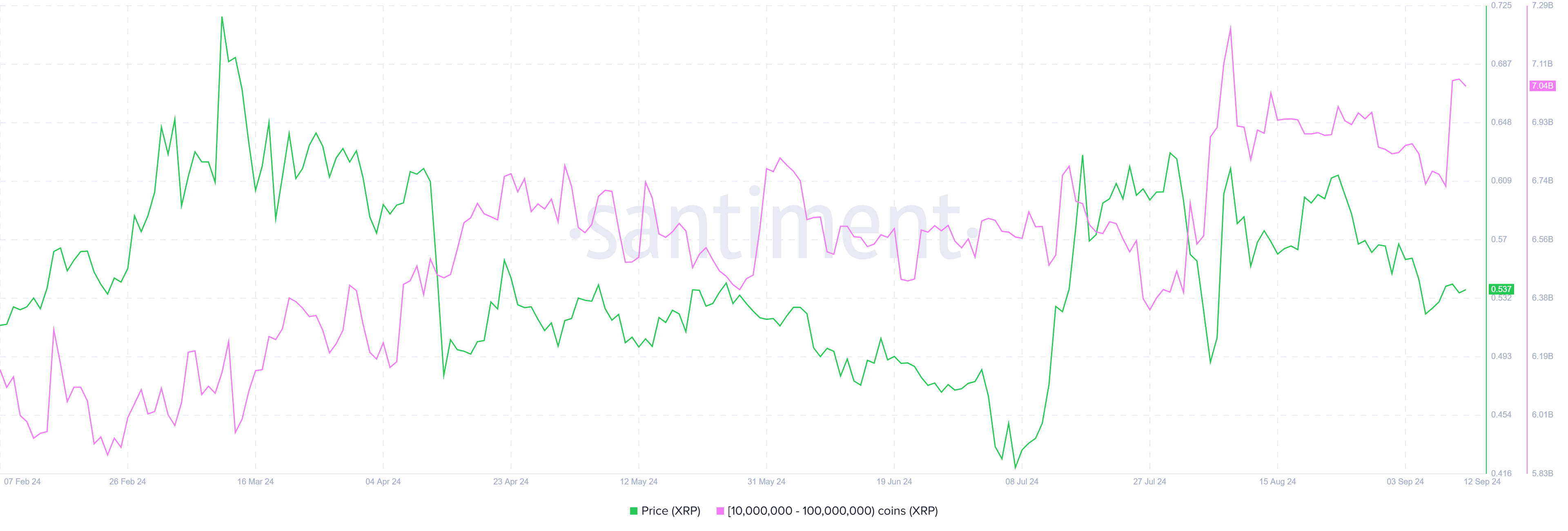 การสะสม XRP ของวาฬ.