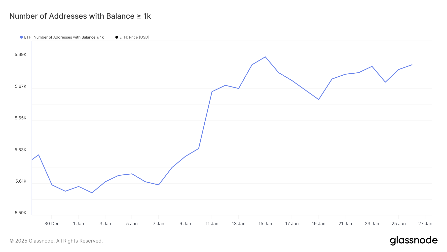 Addresses with Balance >= 1,000 ETH.