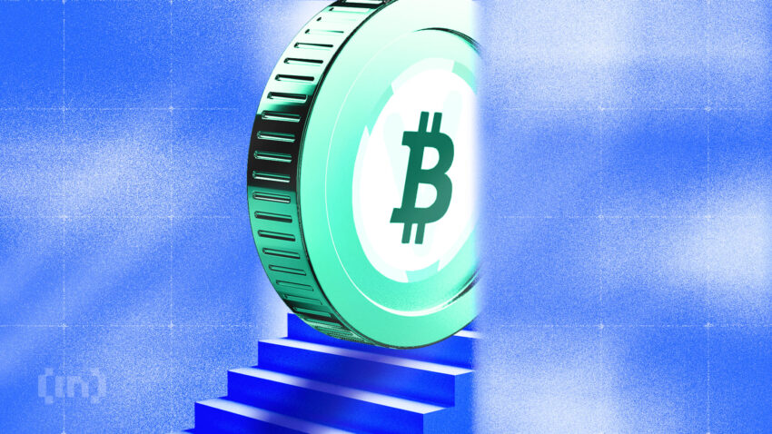 ความเห็นของผู้ถือ Bitcoin แบ่งสัญญาณการสะสมใหม่ในระยะแรก
