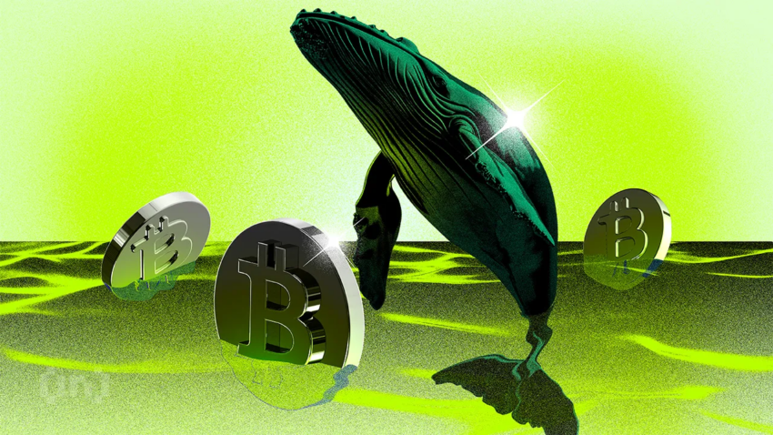 วาฬ Bitcoin ใหม่ถือครองทุน BTC ส่วนใหญ่ | รายงานวาฬประจำสัปดาห์