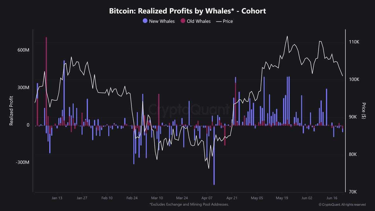 bitcoin whale profit