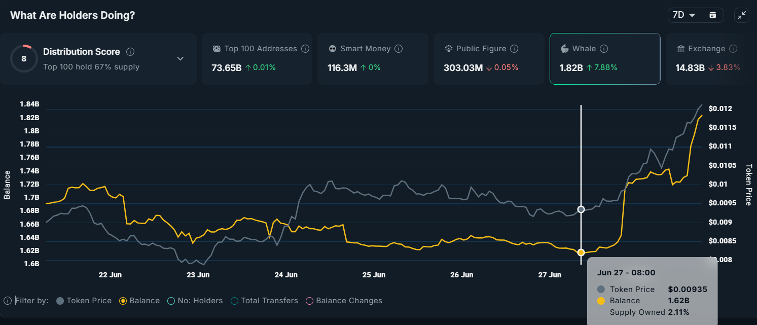 PENGU Whale Holdings.