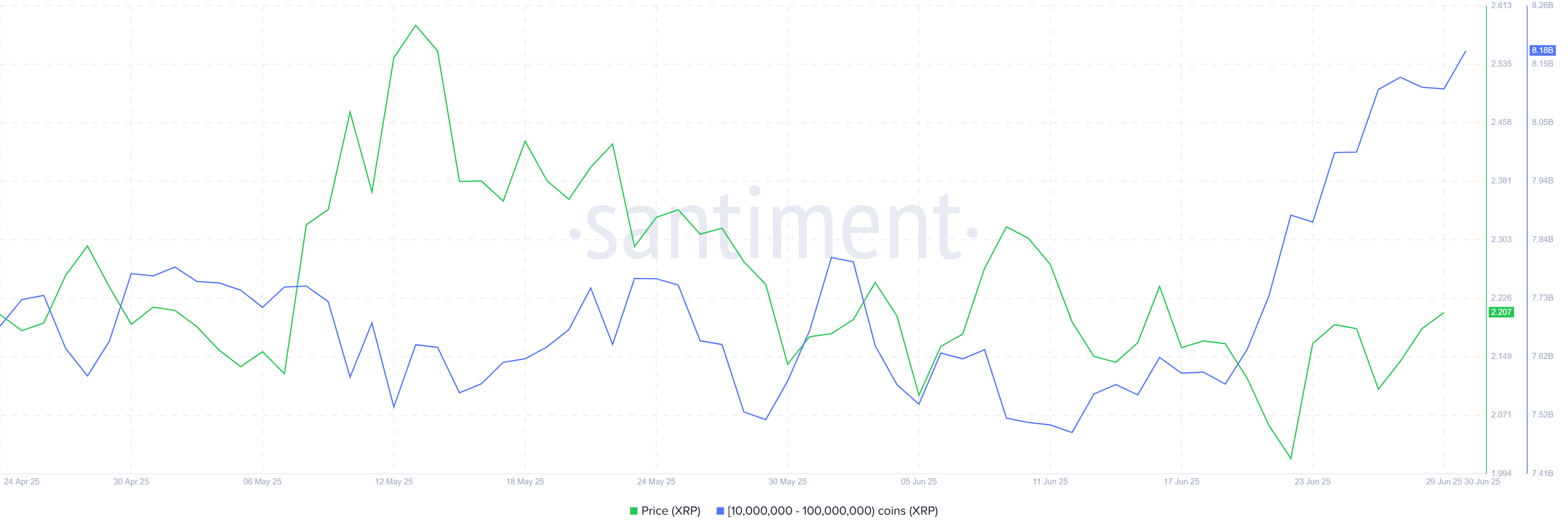 XRP Whale Holding
