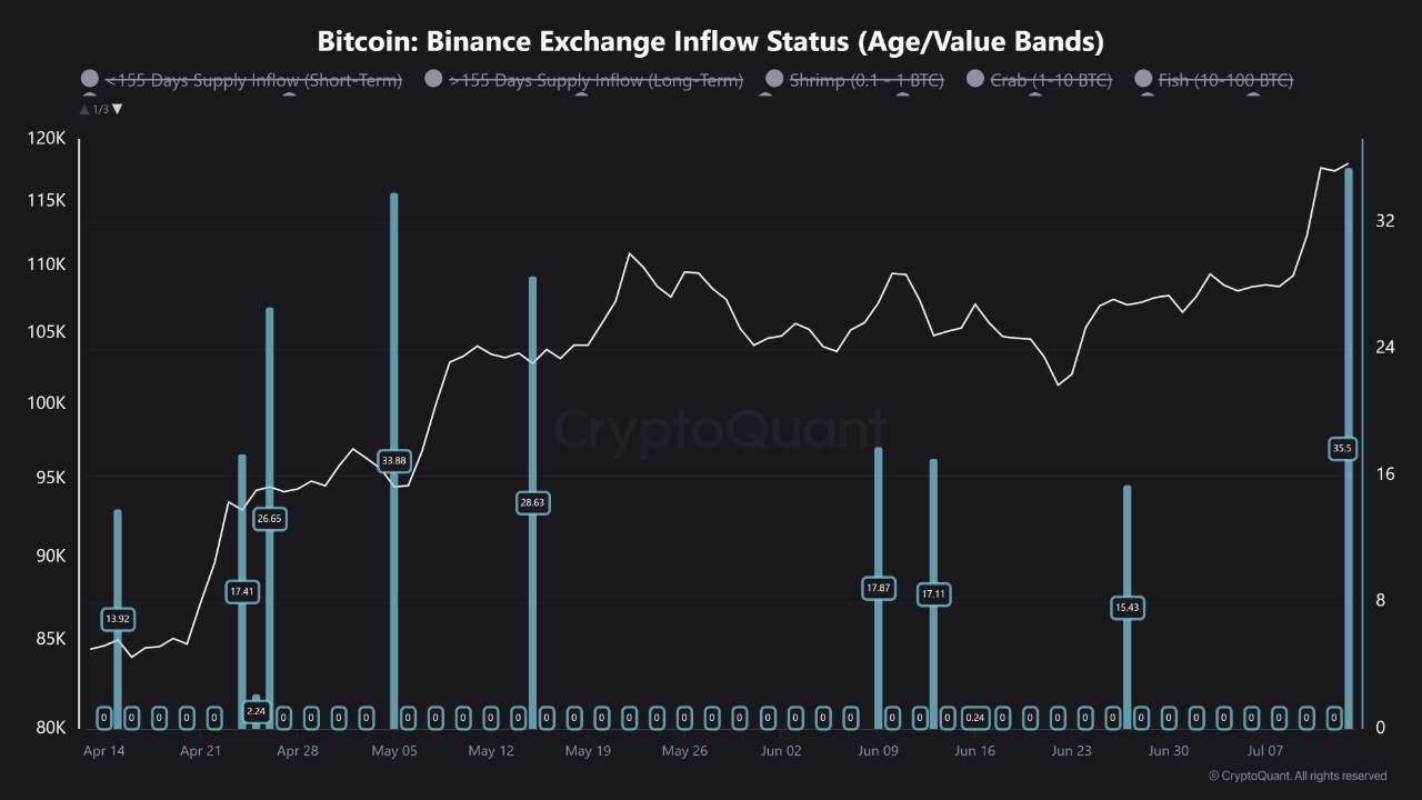 Binance Exchange Inflow Status. Source: CryptoQuant.