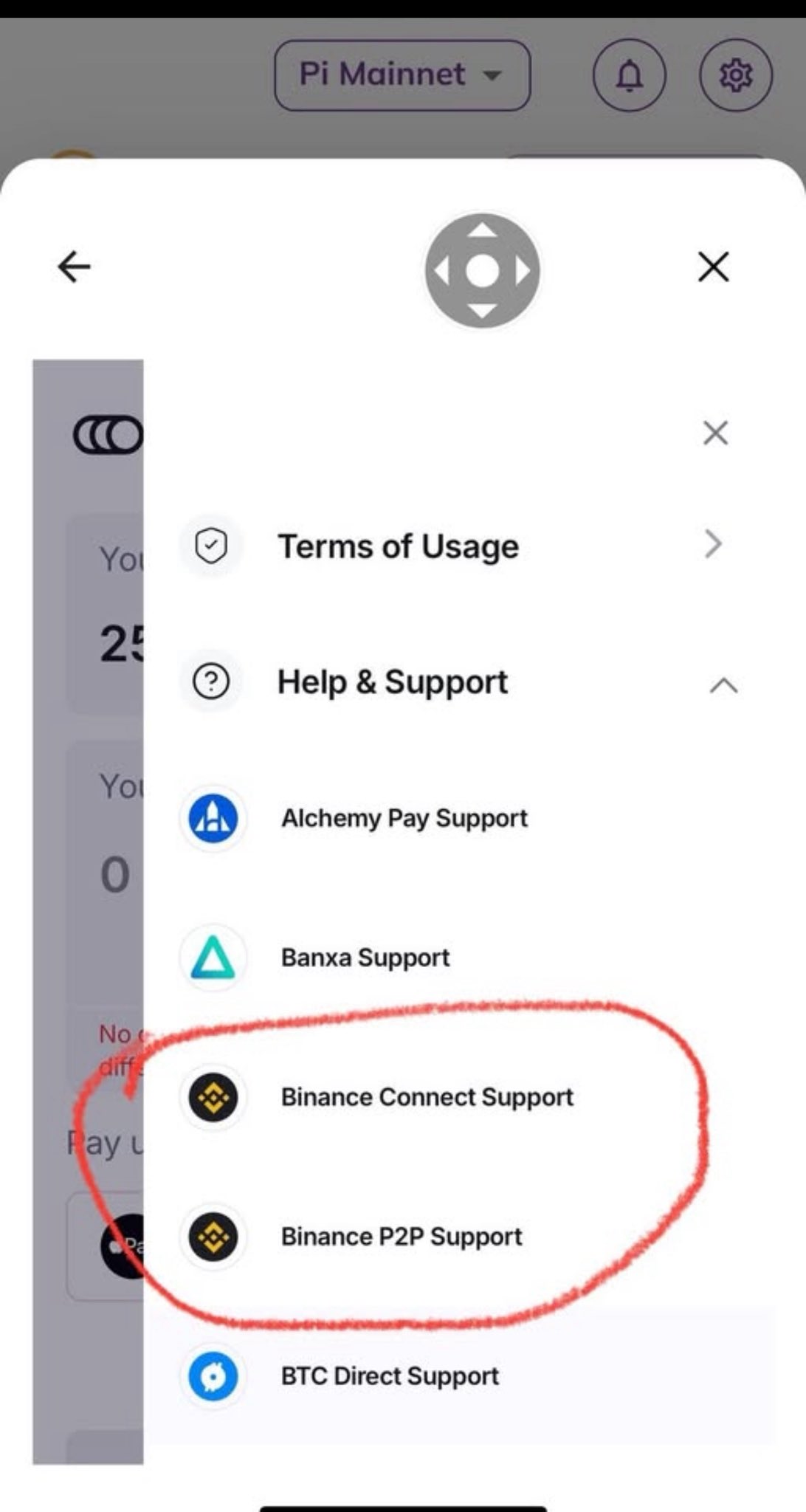 Binance Support Options in Pi Wallet.
