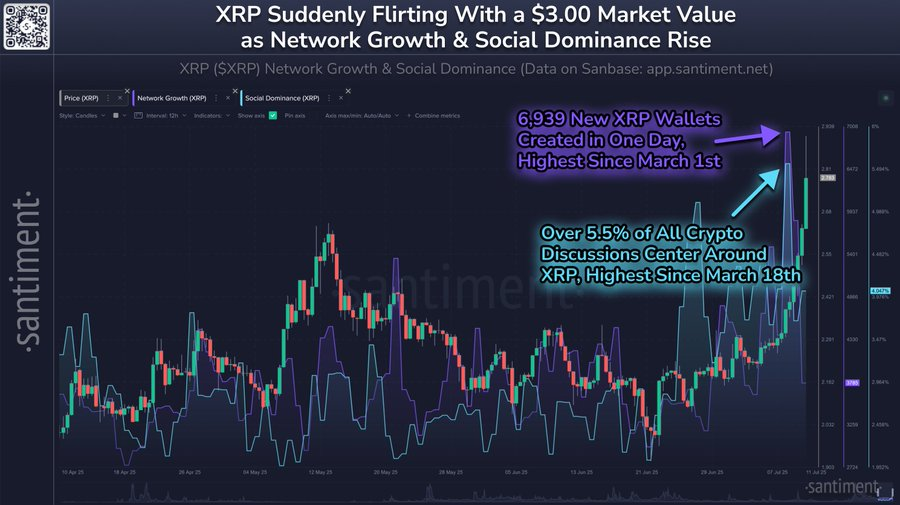 XRP Network Activity.