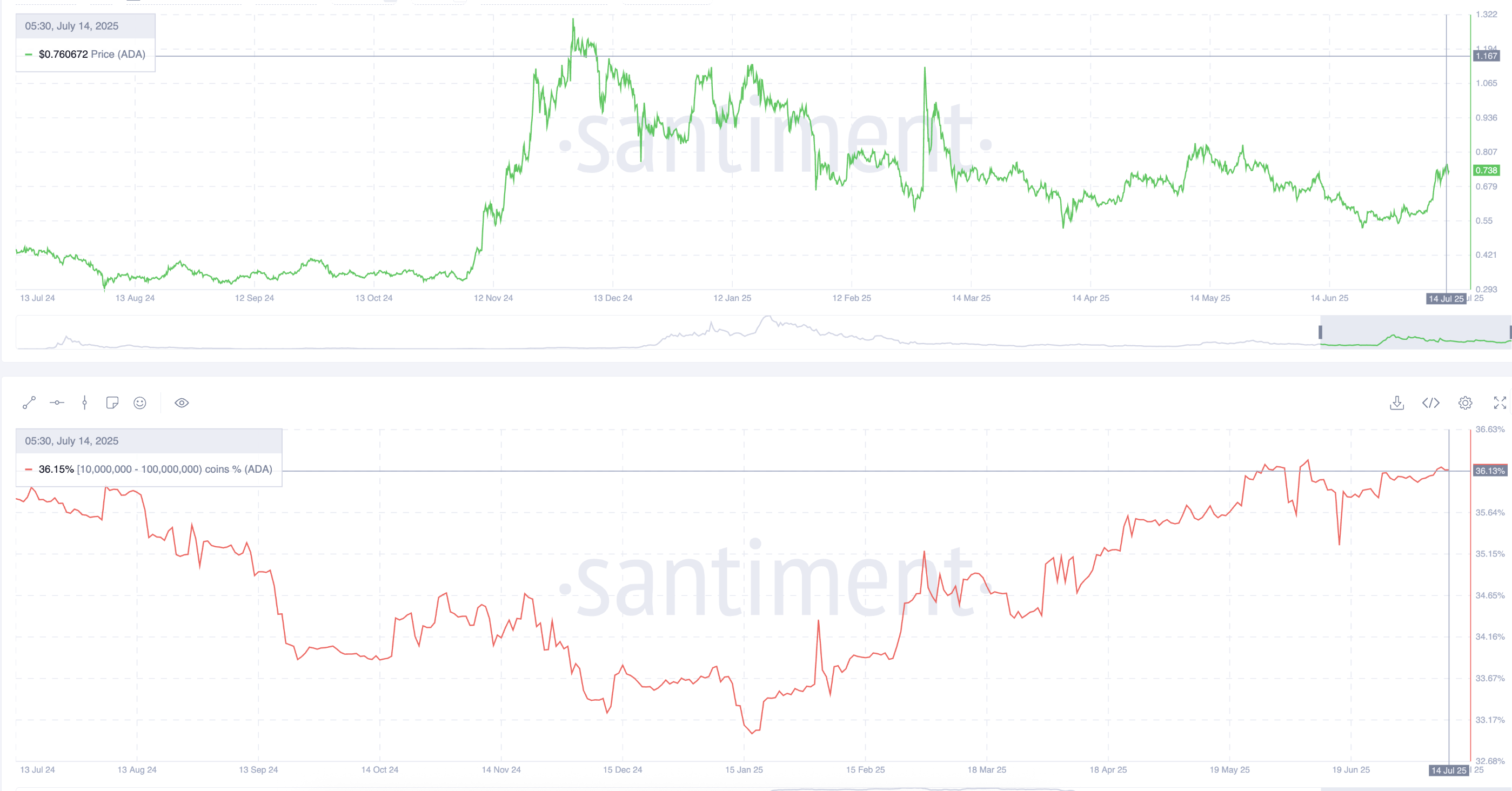 Cardano price and whale wallets